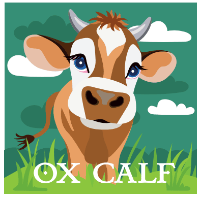 Ox Calf